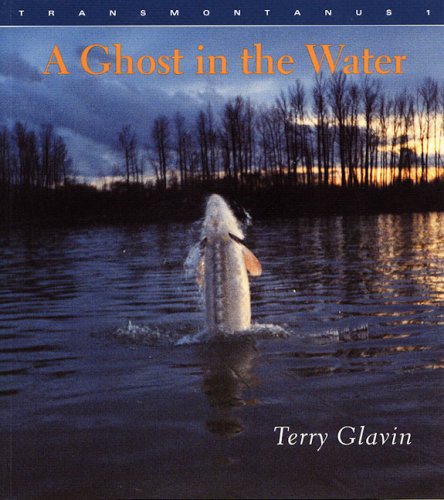 Book cover for A Ghost in the Water