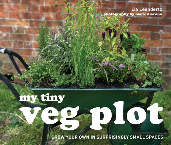 Book cover for My Tiny Veg Plot