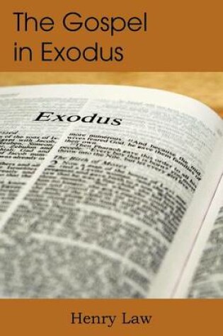 Cover of The Gospel in Exodus