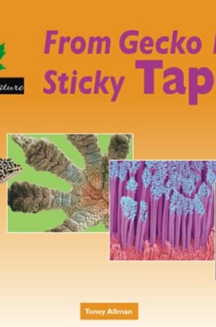 Cover of From Gecko Feet to Sticky Tape