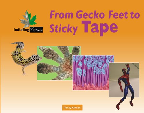 Cover of From Gecko Feet to Sticky Tape