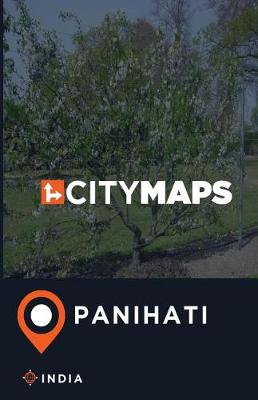 Book cover for City Maps Panihati India