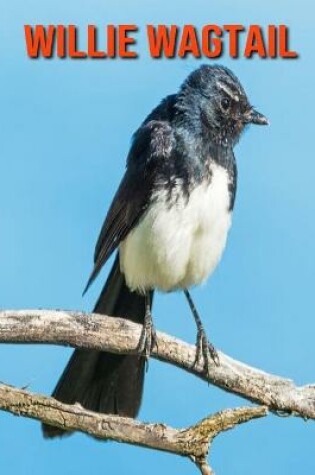 Cover of Willie Wagtail