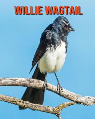 Book cover for Willie Wagtail