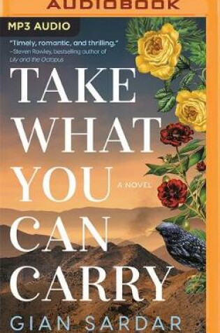 Cover of Take What You Can Carry