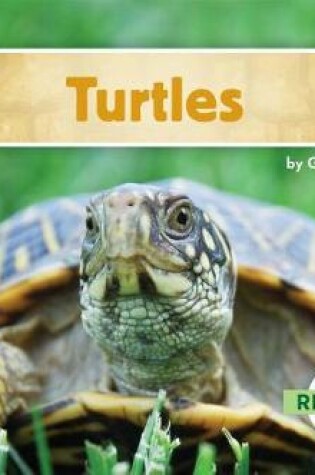 Cover of Turtles