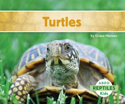 Cover of Turtles