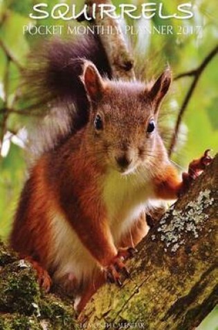 Cover of Squirrels Pocket Monthly Planner 2017