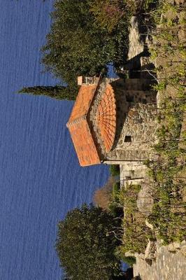 Book cover for Vineyard on Elba Island Italy Journal