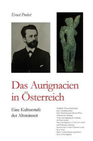 Cover of Das Aurignacien in Österreich