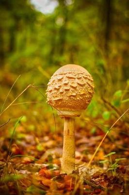 Book cover for Golden Mushroom in an Autumn Forest Journal