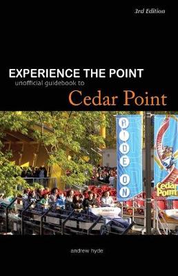 Book cover for Experience the Point