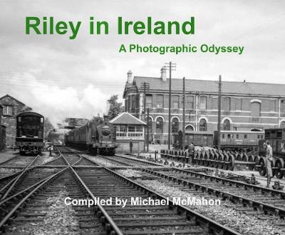 Book cover for Riley in Ireland