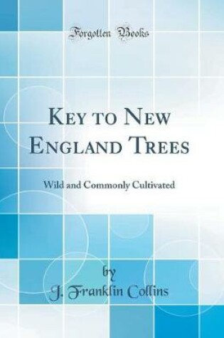 Cover of Key to New England Trees: Wild and Commonly Cultivated (Classic Reprint)