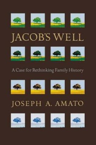 Cover of Jacob's Well