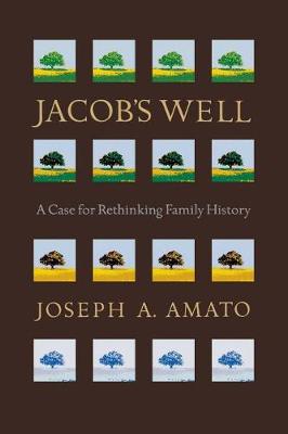 Book cover for Jacob's Well