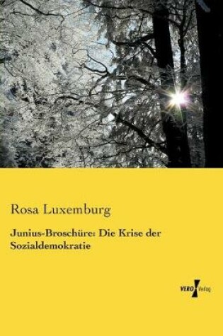 Cover of Junius-Broschure