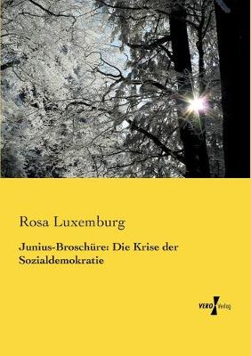 Book cover for Junius-Broschure