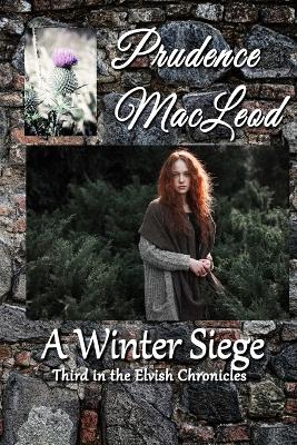 Book cover for A Winter Siege
