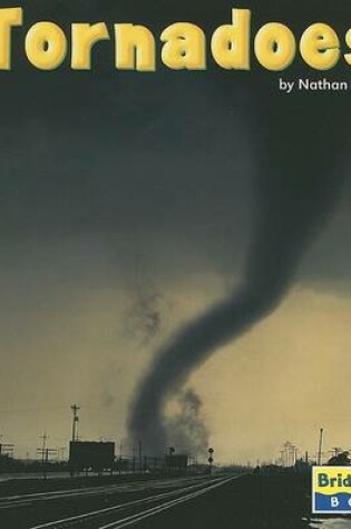 Cover of Tornadoes