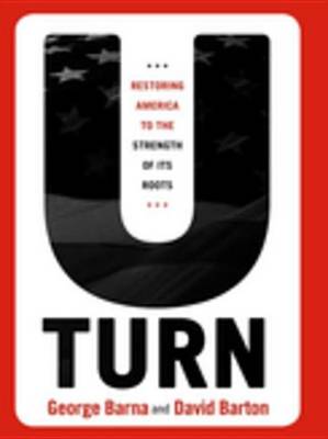 Book cover for U-Turn