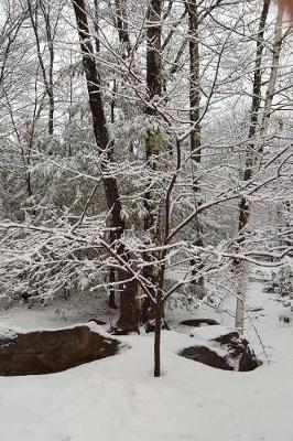 Book cover for Journal Scenic Winter Weather Picture