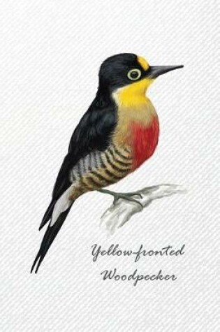 Cover of Yellow-fronted Woodpecker