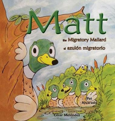 Book cover for Matt