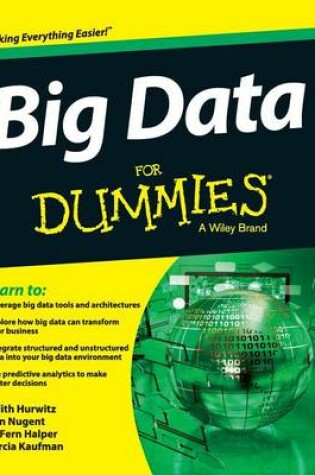 Cover of Big Data for Dummies