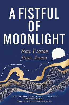 Book cover for A Fistful of Moonlight