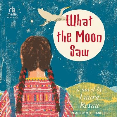 Cover of What the Moon Saw