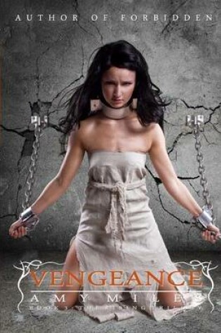 Cover of Vengeance