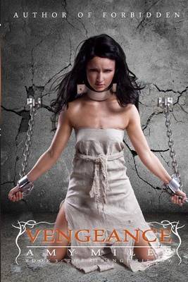 Book cover for Vengeance