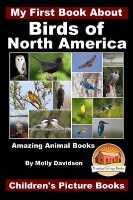 Book cover for My First Book About the Birds of North America - Amazing Animal Books - Children's Picture Books