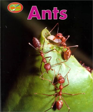 Book cover for Ants Sb-Minipets