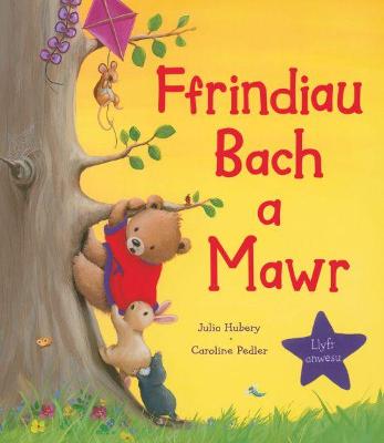 Book cover for Ffrindiau Bach a Mawr