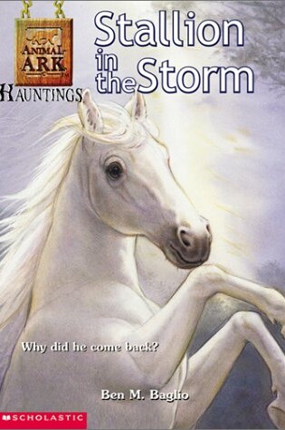 Cover of Stallion in the Storm