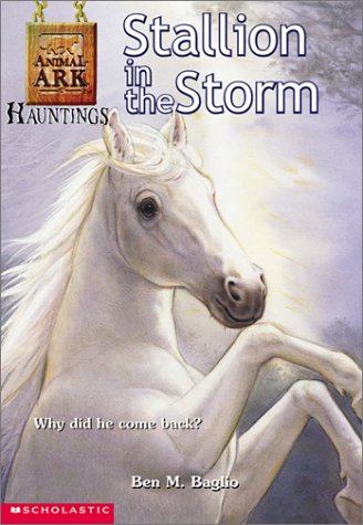 Book cover for Stallion in the Storm