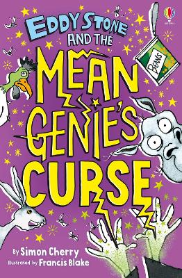 Book cover for Eddy Stone and the Mean Genie's Curse