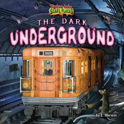 Book cover for The Dark Underground