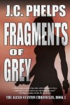 Book cover for Fragments of Grey