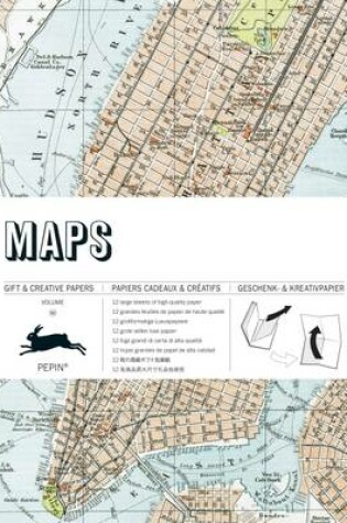 Cover of Maps: Gift and Creative Paper Book