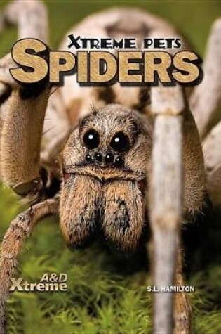 Cover of Spiders