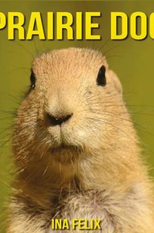 Cover of Prairie Dog