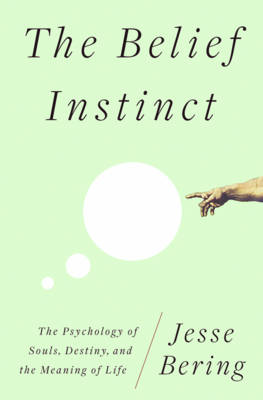 Book cover for The Belief Instinct