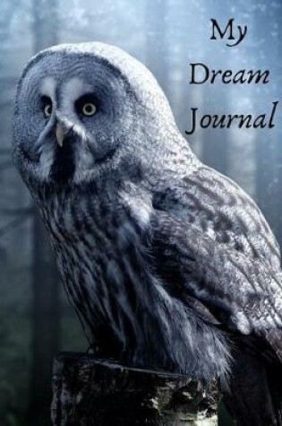 Cover of My Dream Journal