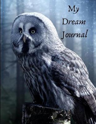 Book cover for My Dream Journal