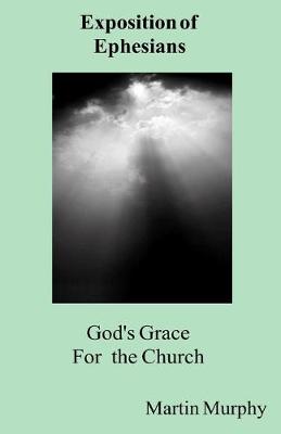 Book cover for God's Grace for the Church