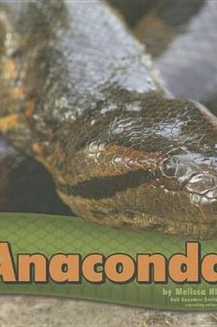 Cover of Anacondas