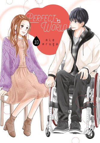 Book cover for Perfect World 10